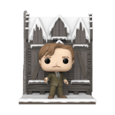 Lagerbruch FUNKO POP! - Harry Potter - Wizarding World Remus Lupin with The Shrieking Shack #156
